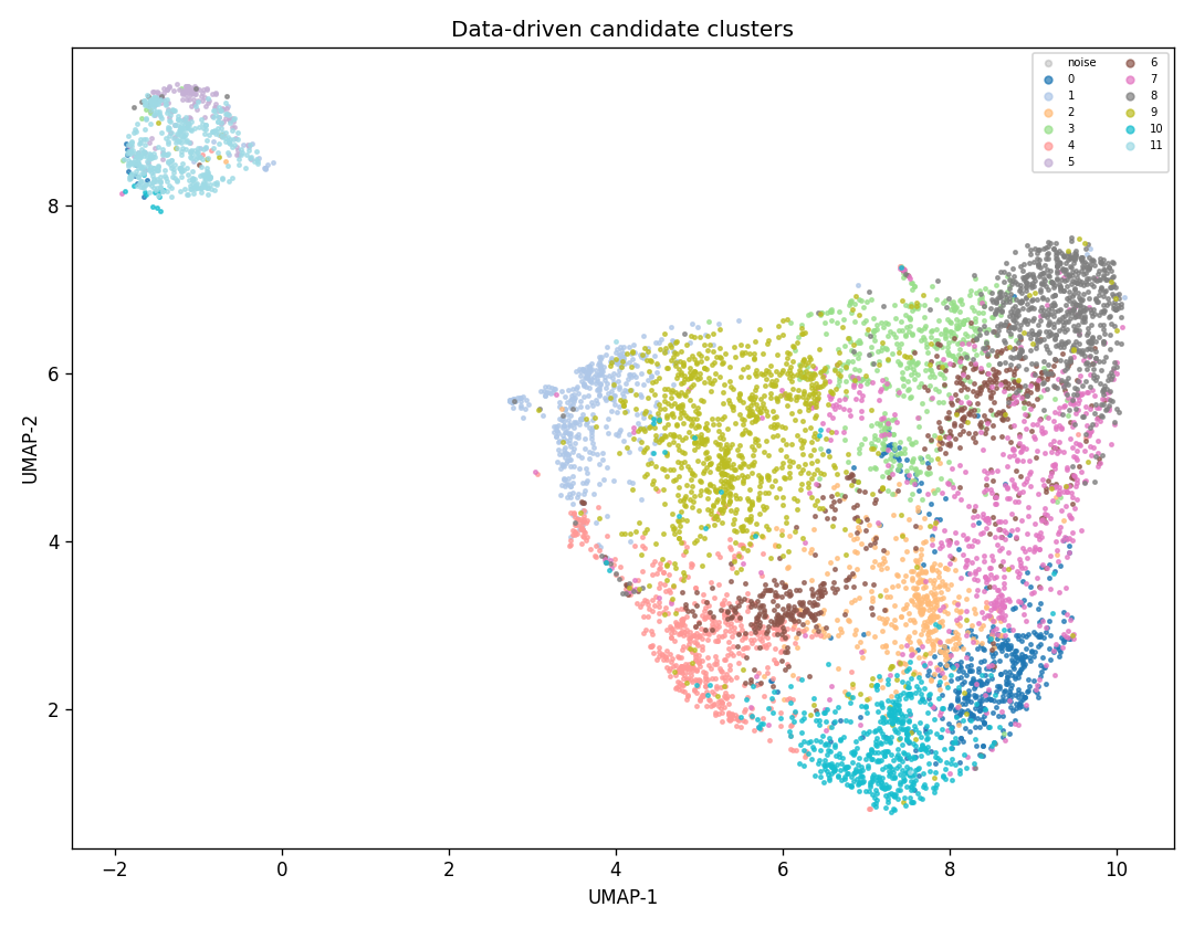 UMAP scatter for kmeans 12